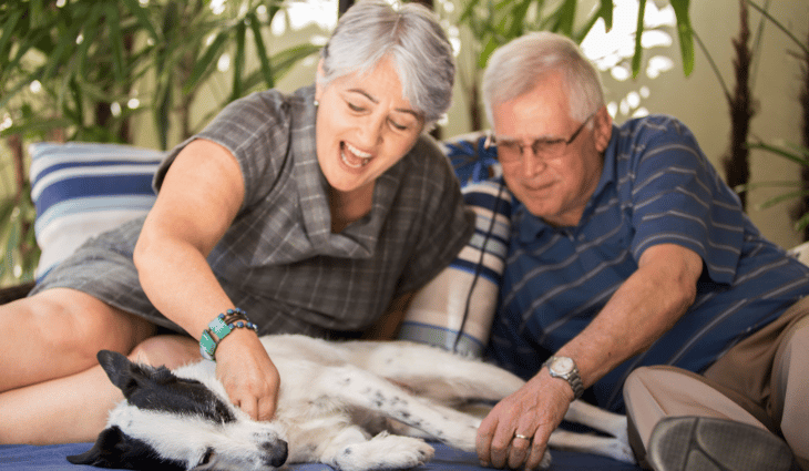 Couple petting dog